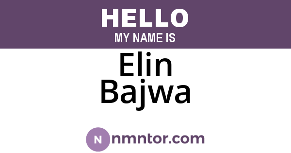 Elin Bajwa