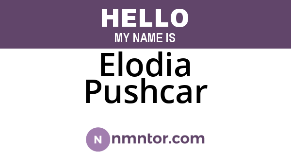 Elodia Pushcar