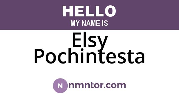 Elsy Pochintesta
