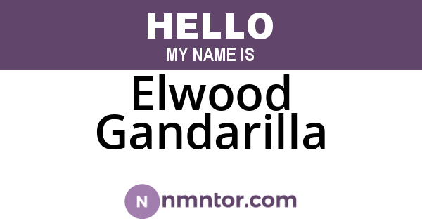 Elwood Gandarilla