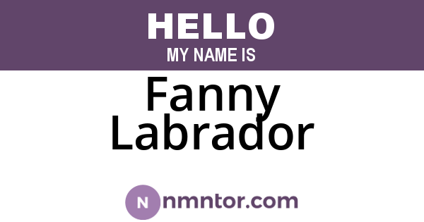 Fanny Labrador