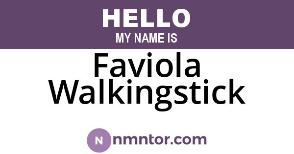 Faviola Walkingstick