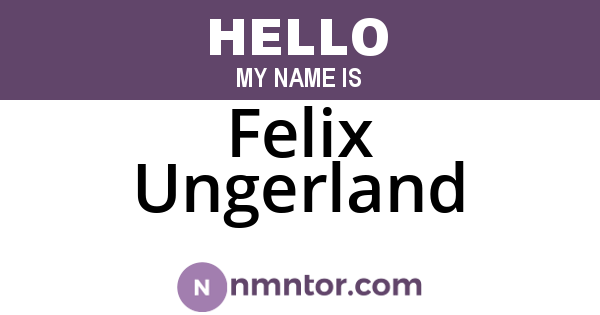 Felix Ungerland