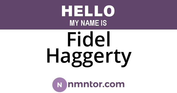 Fidel Haggerty