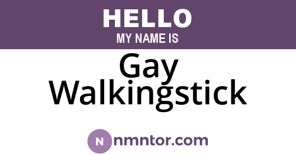 Gay Walkingstick