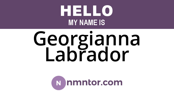 Georgianna Labrador
