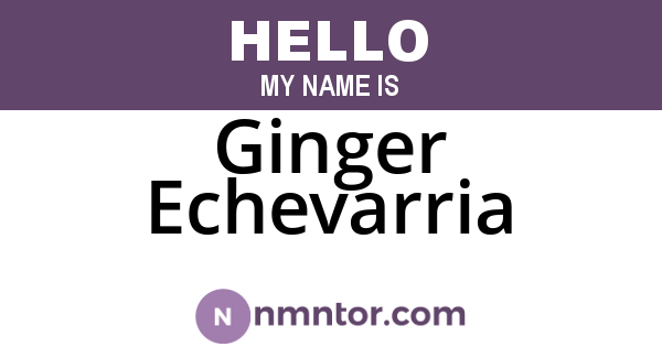 Ginger Echevarria