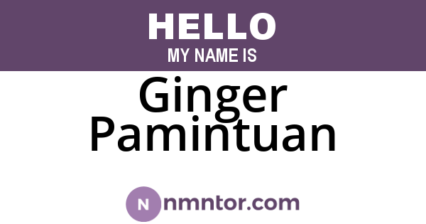 Ginger Pamintuan