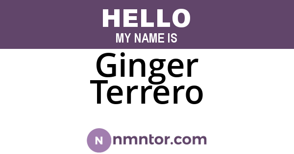 Ginger Terrero