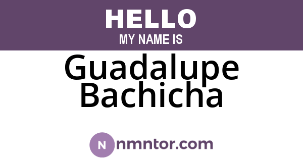 Guadalupe Bachicha