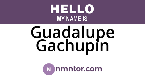 Guadalupe Gachupin