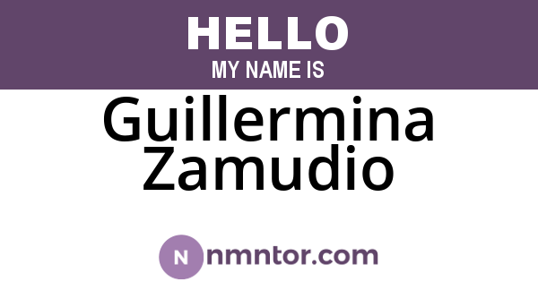 Guillermina Zamudio