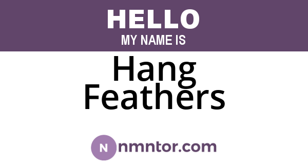 Hang Feathers