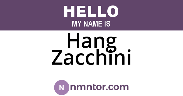 Hang Zacchini