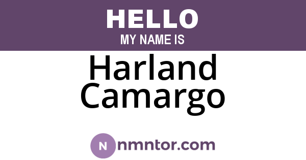 Harland Camargo