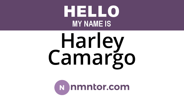 Harley Camargo