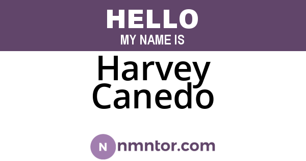 Harvey Canedo