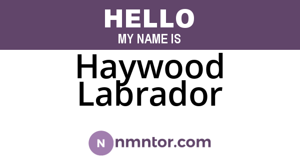 Haywood Labrador