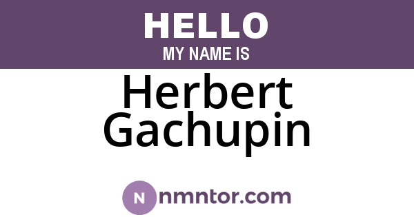 Herbert Gachupin