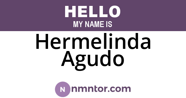 Hermelinda Agudo