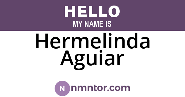 Hermelinda Aguiar