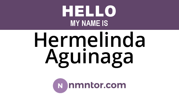 Hermelinda Aguinaga