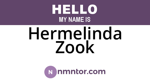 Hermelinda Zook