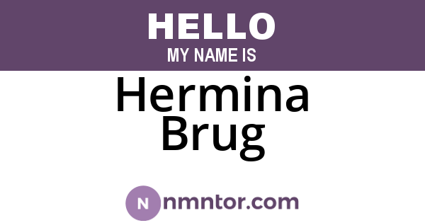 Hermina Brug