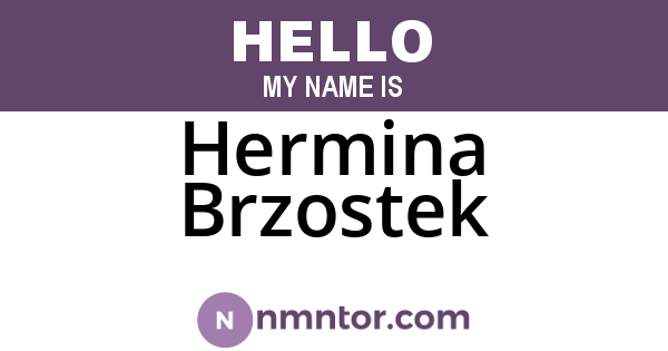 Hermina Brzostek