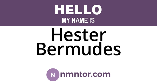 Hester Bermudes