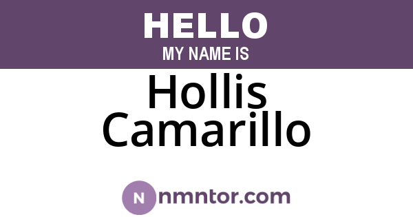 Hollis Camarillo
