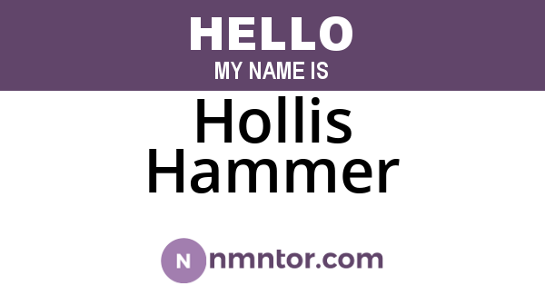 Hollis Hammer