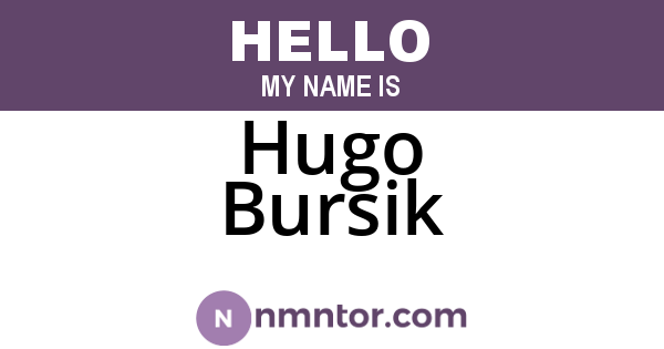 Hugo Bursik