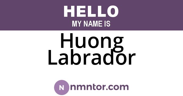 Huong Labrador