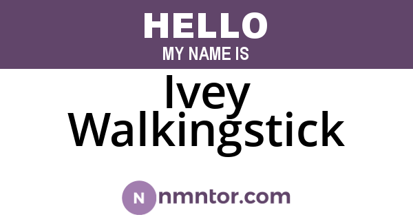 Ivey Walkingstick