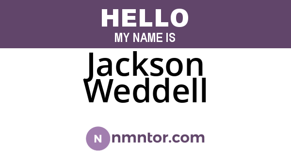 Jackson Weddell