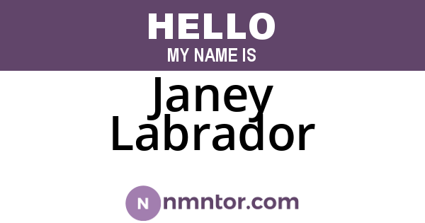 Janey Labrador