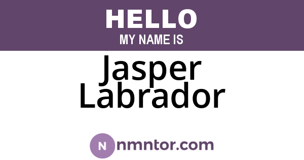 Jasper Labrador