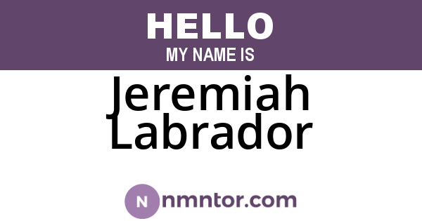 Jeremiah Labrador