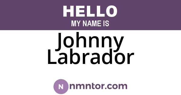 Johnny Labrador