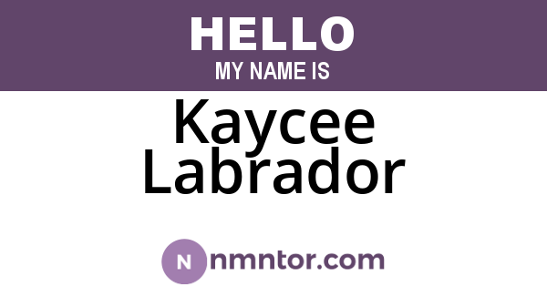 Kaycee Labrador