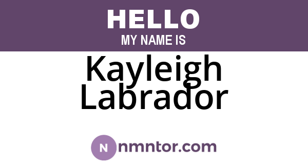 Kayleigh Labrador
