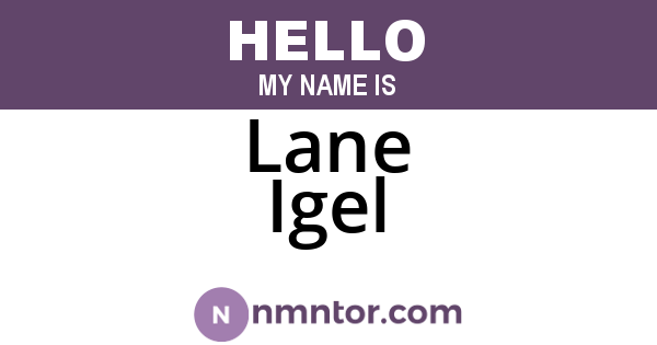 Lane Igel
