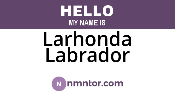 Larhonda Labrador