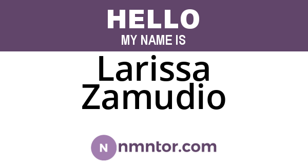Larissa Zamudio