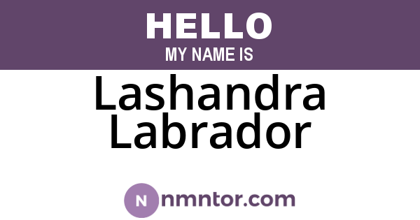 Lashandra Labrador