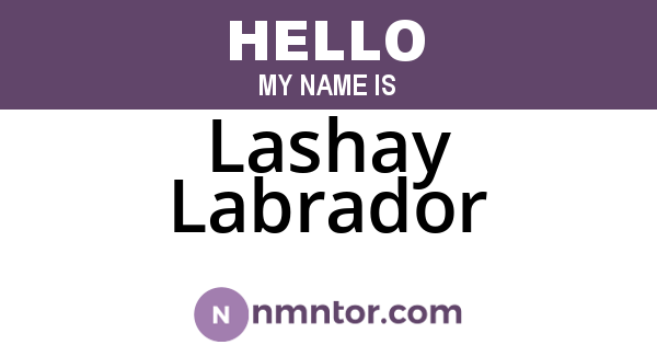 Lashay Labrador