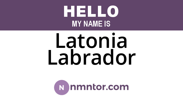 Latonia Labrador