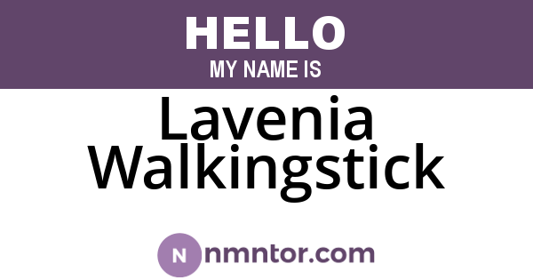 Lavenia Walkingstick