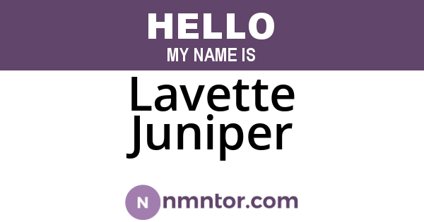 Lavette Juniper